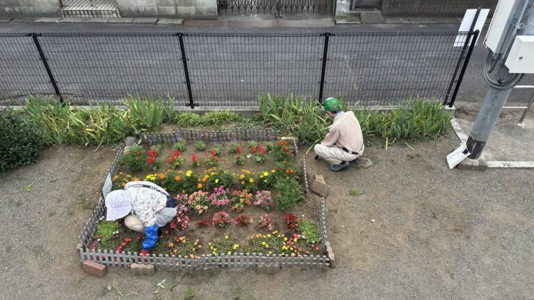 お知らせの画像